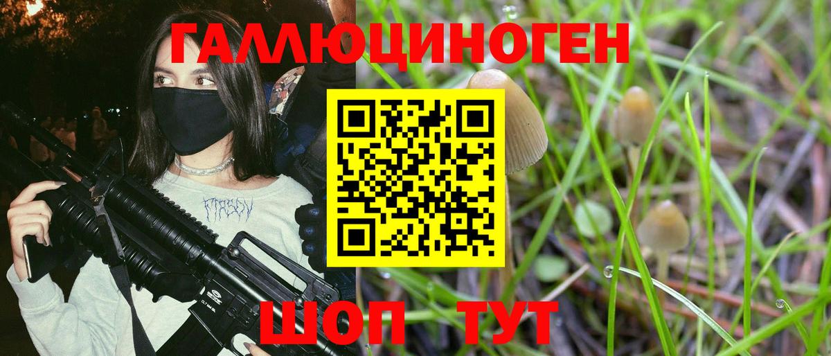 Галлюциногенные грибы мухоморы Скопин
