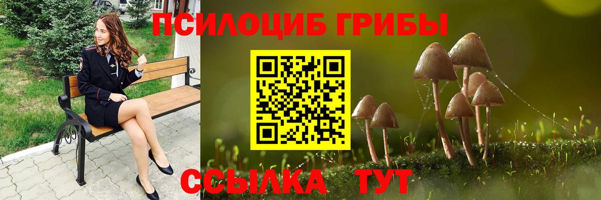 Скопин  Галлюциногенные грибы мухоморы  Псилоцибиновые грибы MAGIC MUSHROOMS  Вход с VPN 
